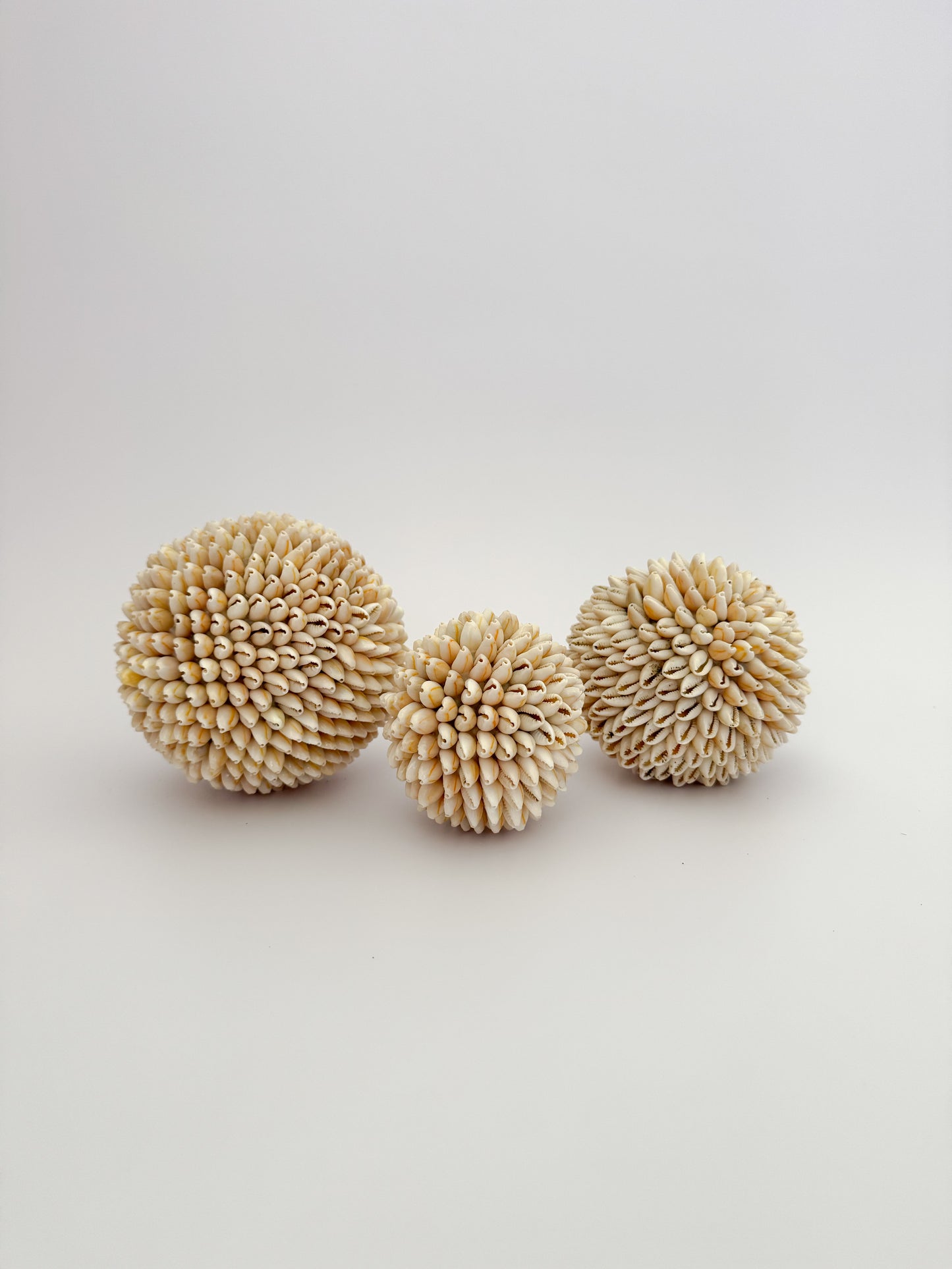 Natural Brown Shell Ball