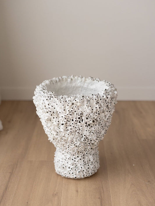 Tall Barnacle vessel