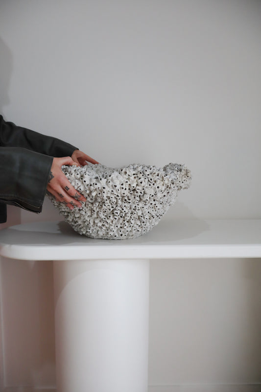 Barnacle Bowl