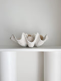 Clam Shell