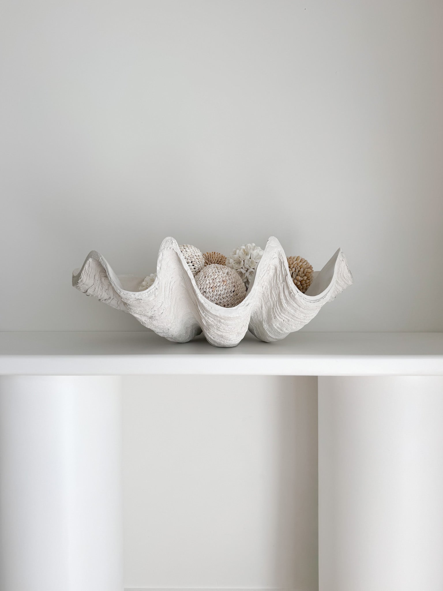 Clam Shell
