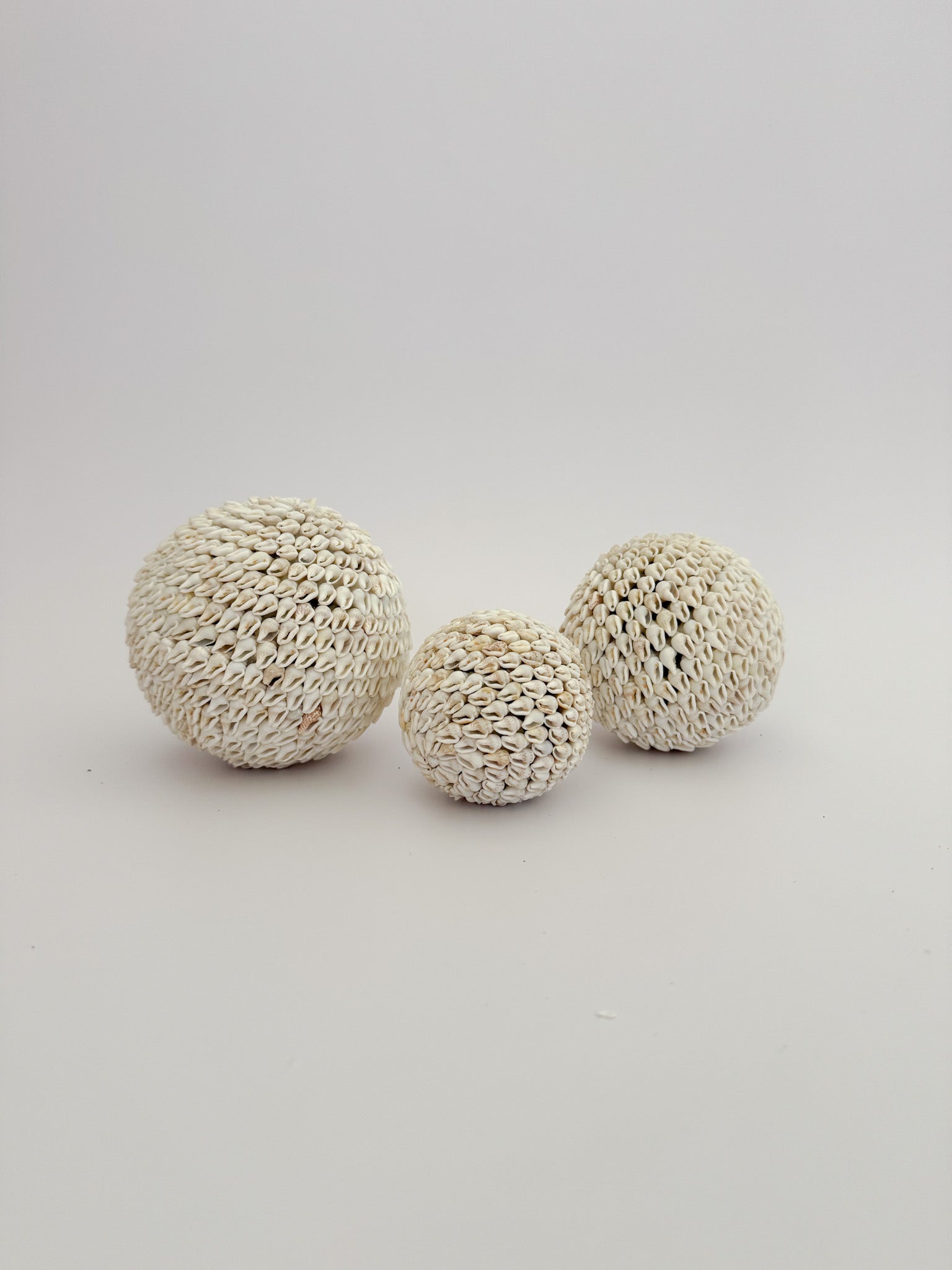 Natural White Shell Ball