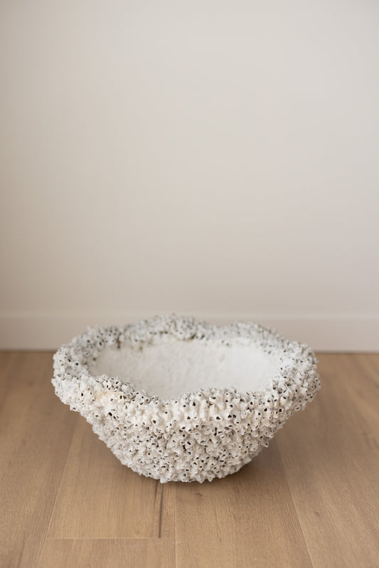 Barnacle Bowl