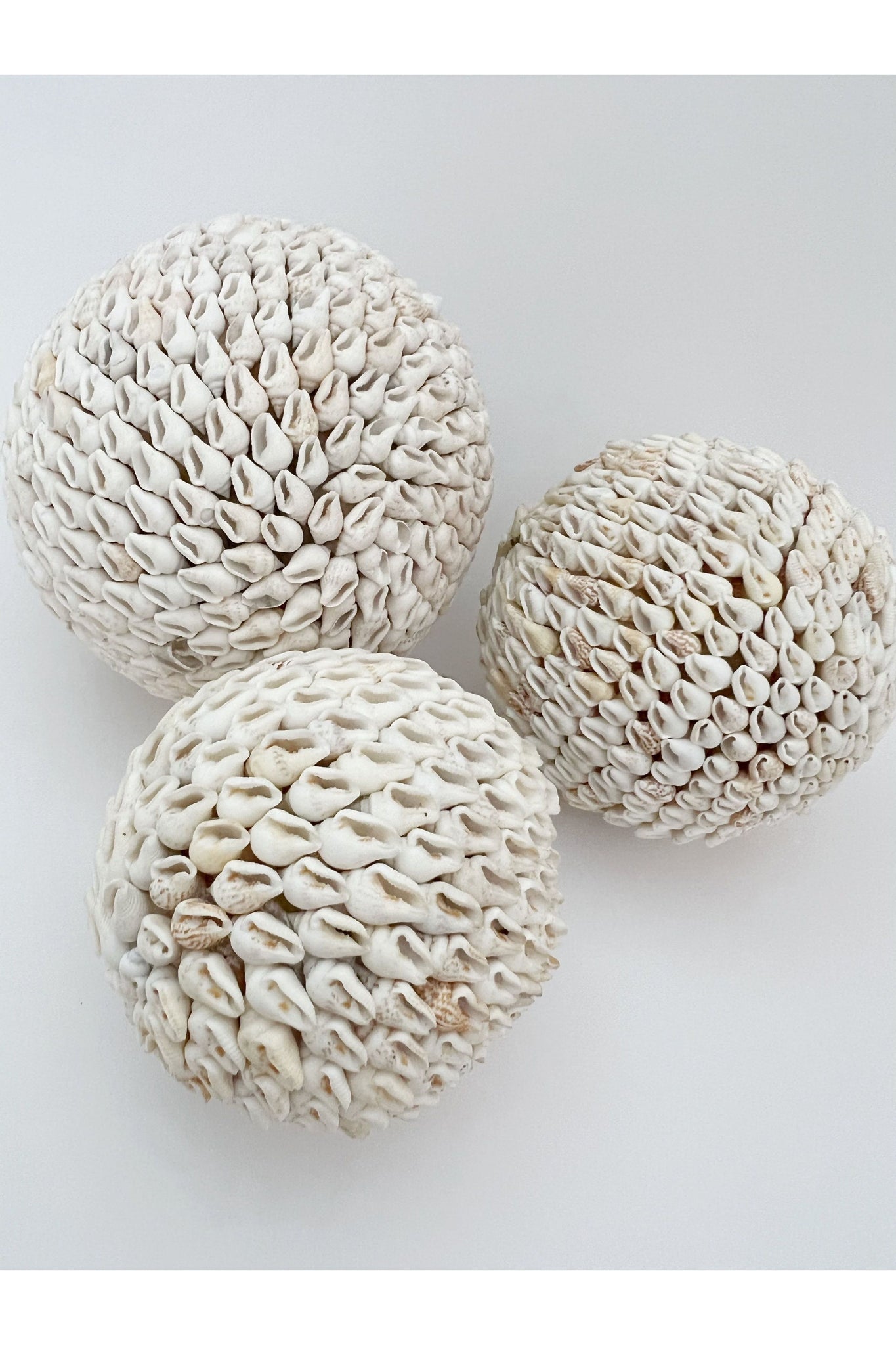 inkah shell ball