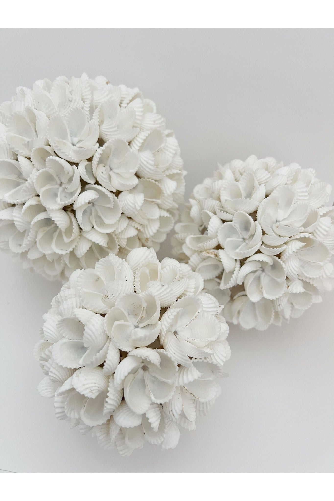 White Shell Ball